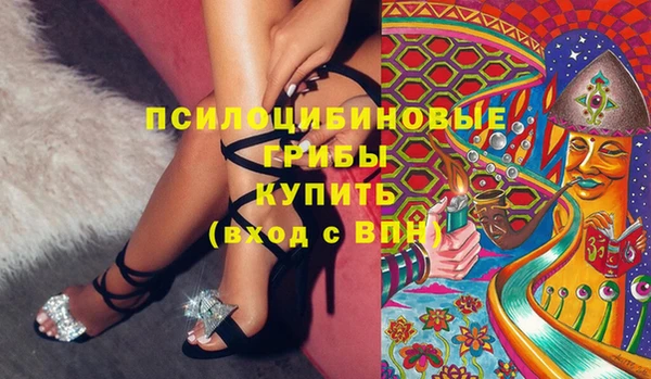 винт Арсеньев